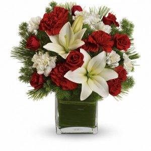 Festive Lily Christmas $60 + $7 Delivery