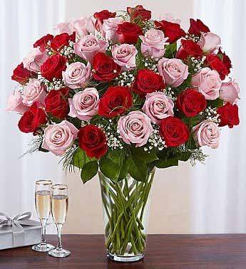 Enchanting Red And Pink Roses (1 Doz, 2 Doz And 3 Doz) 55