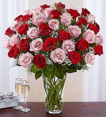 Enchanting Red And Pink Roses (1 Doz, 2 Doz And 3 Doz) $45 + $7 Delivery